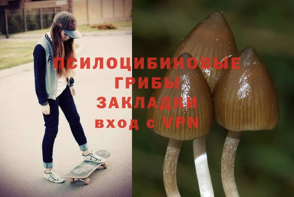 ПСИЛОЦИБИНОВЫЕ ГРИБЫ Беломорск