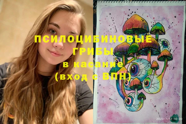 ПСИЛОЦИБИНОВЫЕ ГРИБЫ Беломорск