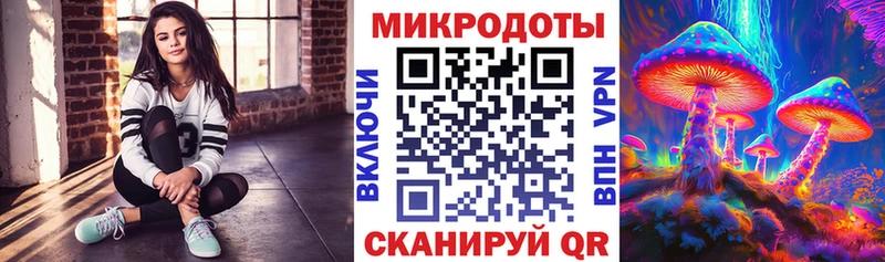 наркошоп  Горняк  Псилоцибиновые грибы Psilocybe 